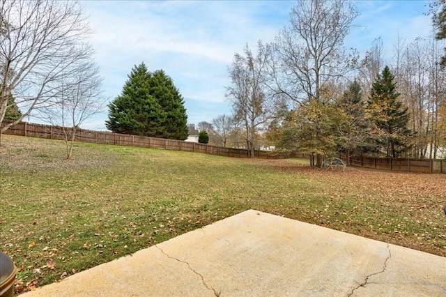 view of yard featuring a patio