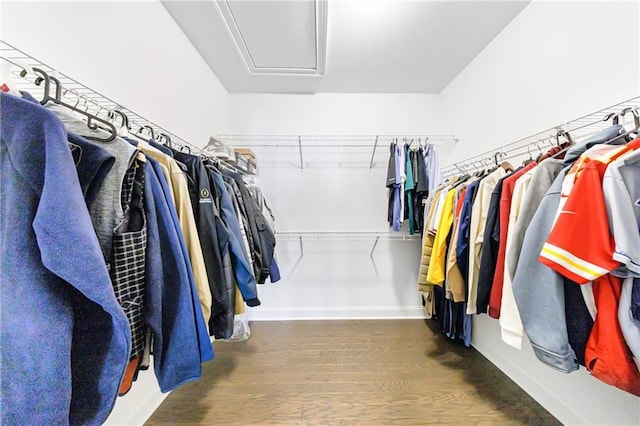 spacious closet with dark wood-type flooring