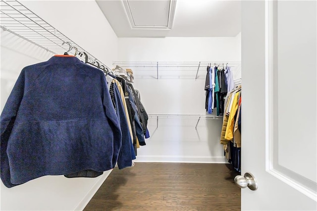 walk in closet with dark hardwood / wood-style flooring