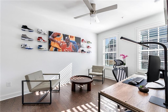 office featuring ceiling fan and dark hardwood / wood-style flooring