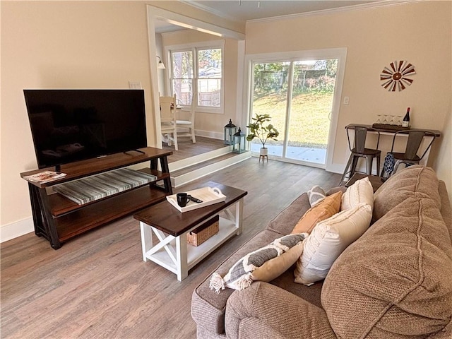 living room featuring hardwood / wood-style flooring and crown molding