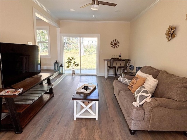 living room with crown molding, dark hardwood / wood-style floors, and ceiling fan