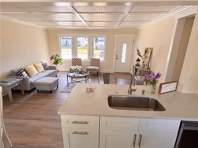 kitchen with light stone counters, sink, hardwood / wood-style floors, and white cabinets