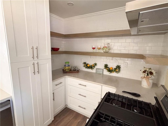 kitchen with white cabinetry, crown molding, dark wood-type flooring, and backsplash