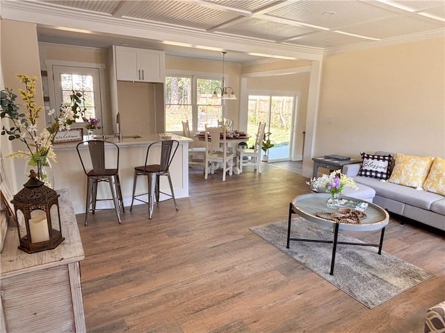 living room featuring hardwood / wood-style flooring, ornamental molding, sink, and a wealth of natural light