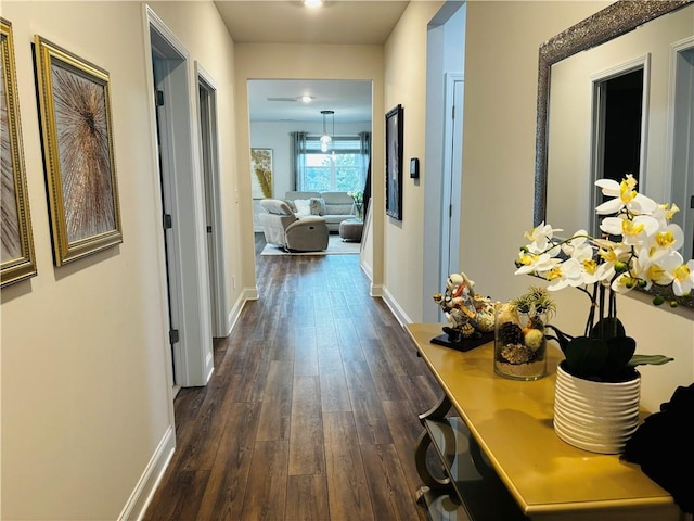 hallway with dark wood-type flooring