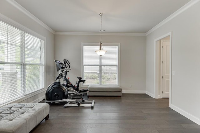 1459 Bennett Creek Ovlk, Suwanee, GA 30024 - workout room with dark wood-style flooring and crown molding
