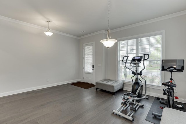 1459 Bennett Creek Ovlk, Suwanee, GA 30024 - workout area with dark wood-type flooring and ornamental molding