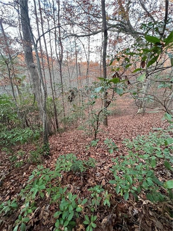 0 Moss Cove Rd, Blairsville GA, 30512 land for sale