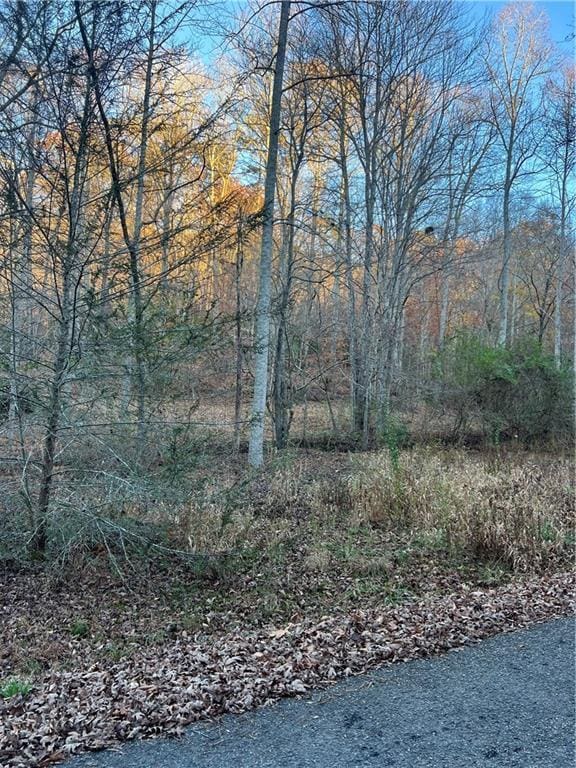 Listing photo 3 for 0 Moss Cove Rd, Blairsville GA 30512