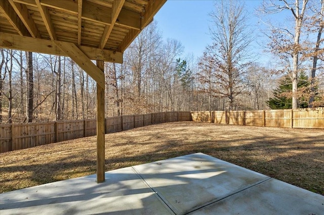 view of yard with a patio and a fenced backyard