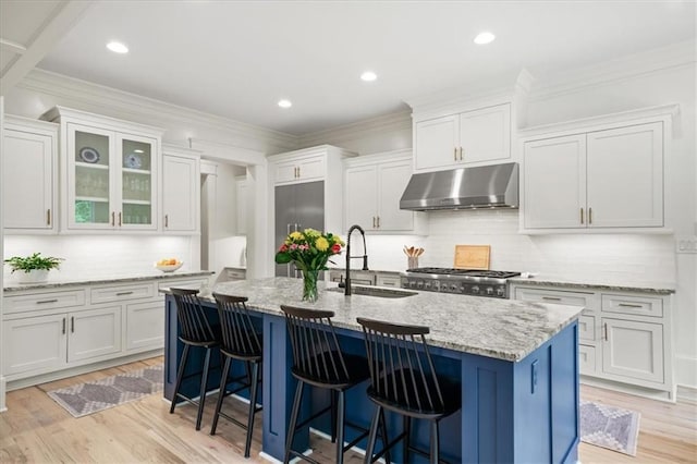 4048 Navajo Trl, Brookhaven, GA 30319 - kitchen featuring under cabinet range hood, a sink, light wood-style floors, white cabinets, and crown molding