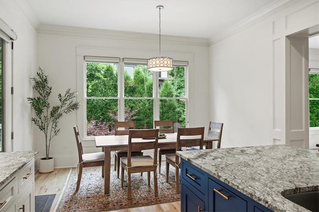 4048 Navajo Trl, Brookhaven, GA 30319 - dining room with plenty of natural light, light wood-style flooring, ornamental molding, and baseboards