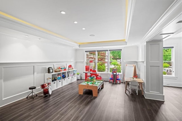 4048 Navajo Trl, Brookhaven, GA 30319 - rec room with a decorative wall, a raised ceiling, healthy amount of natural light, wood finished floors, and recessed lighting