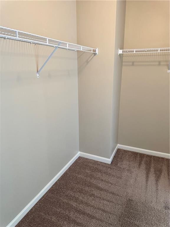 3897 Valley Bluff Ln, Snellville, GA 30039 - spacious closet featuring carpet flooring