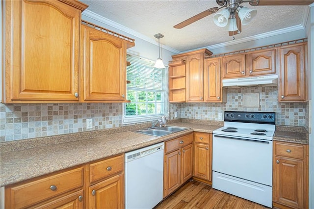 879 Rock Oak Ln, Lawrenceville, GA 30046 - kitchen featuring white appliances, under cabinet range hood, a sink, crown molding, and ceiling fan