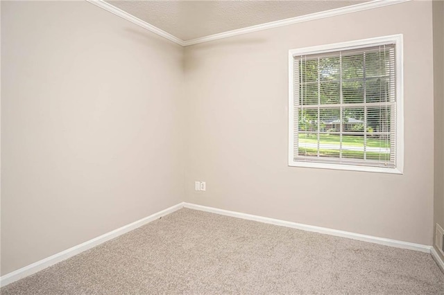 879 Rock Oak Ln, Lawrenceville, GA 30046 - spare room featuring carpet, crown molding, baseboards, and a textured ceiling
