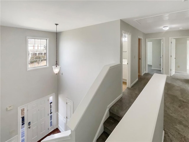 staircase featuring attic access, carpet, and baseboards