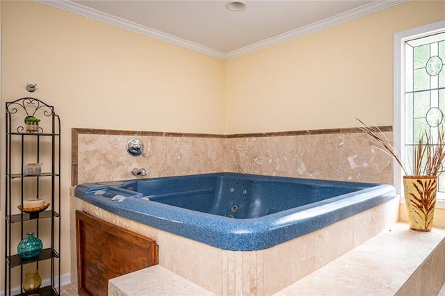 5102 Chastleton Dr, Stone Mountain, GA 30087 - full bathroom featuring crown molding and a jetted tub