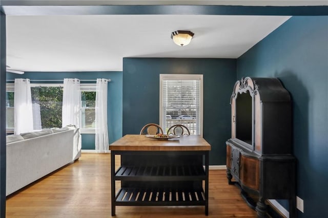 dining room with hardwood / wood-style floors and plenty of natural light