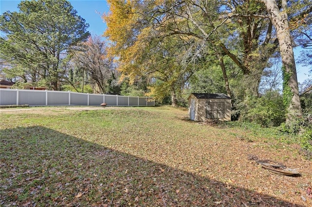 view of yard with a storage shed