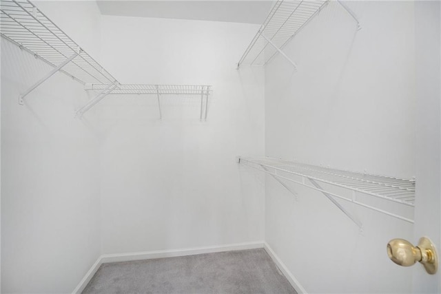 2949 Maple Walk Ct, Lawrenceville, GA 30044 - walk in closet featuring carpet