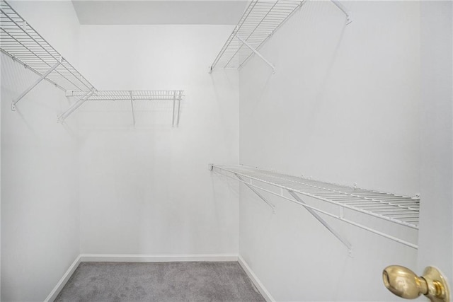 2949 Maple Walk Ct, Lawrenceville, GA 30044 - spacious closet with carpet