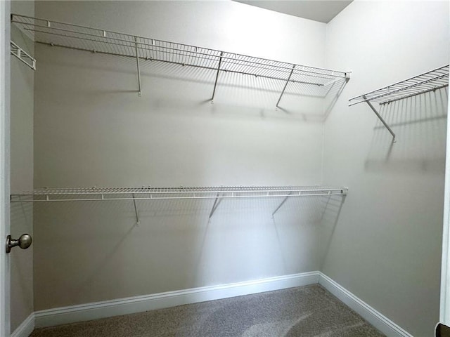 view of walk in closet