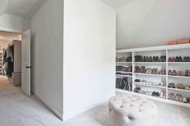 spacious closet with light colored carpet