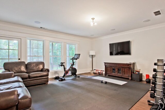 exercise room featuring dark hardwood / wood-style floors, an inviting chandelier, and ornamental molding