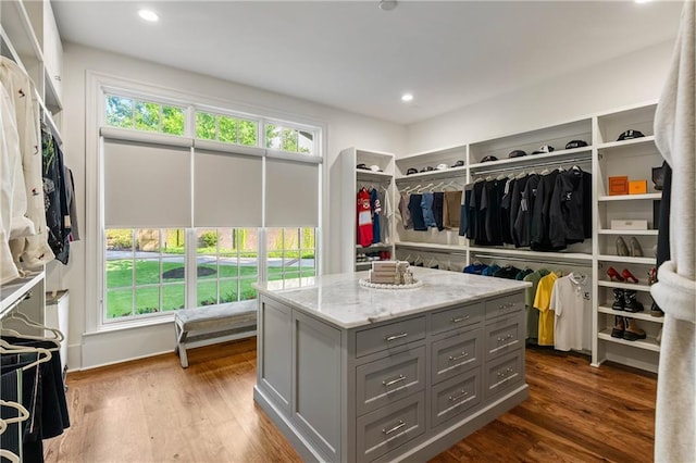 spacious closet featuring dark wood finished floors