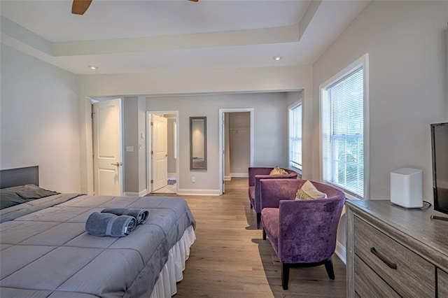 bedroom featuring a tray ceiling, ceiling fan, a spacious closet, light hardwood / wood-style floors, and a closet