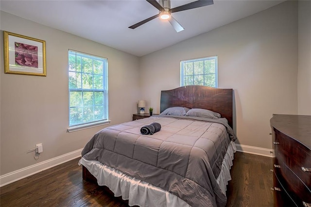 bedroom with multiple windows, lofted ceiling, ceiling fan, and dark wood-type flooring