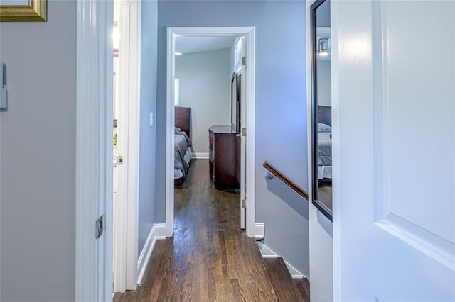 hall featuring dark hardwood / wood-style floors