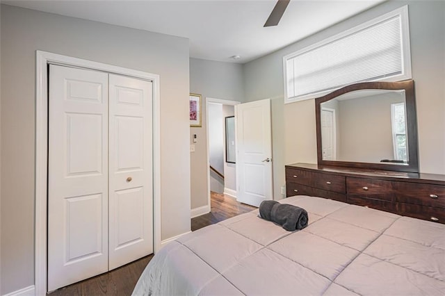 bedroom with dark hardwood / wood-style flooring, ceiling fan, and a closet