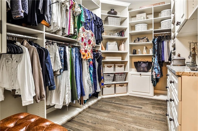 spacious closet featuring wood finished floors