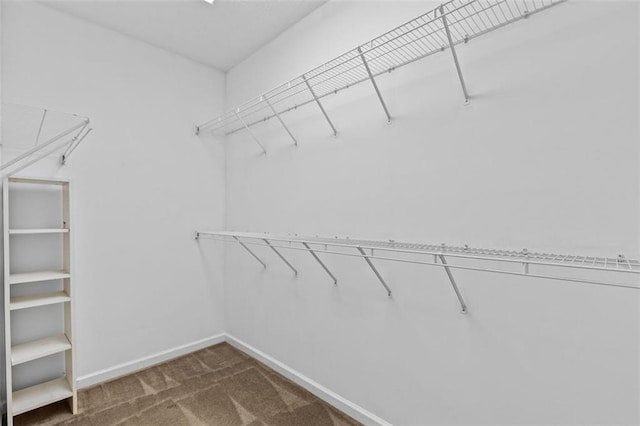 9507 Greens Mill Ct, Loganville, GA 30052 - walk in closet featuring carpet