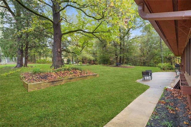 view of yard featuring a patio