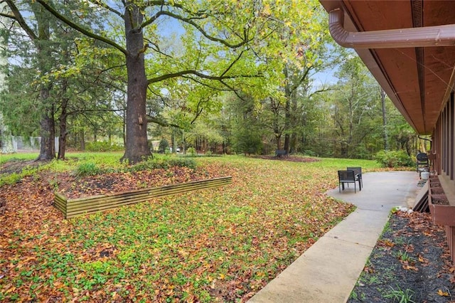 view of yard featuring a patio area