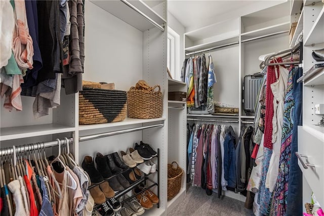 307 Cedar Dust Dr, Decatur, GA 30030 - walk in closet featuring carpet flooring