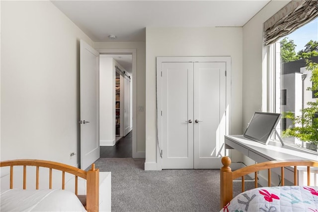 307 Cedar Dust Dr, Decatur, GA 30030 - carpeted bedroom with a closet and baseboards