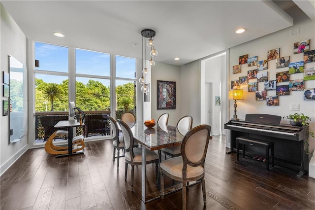 307 Cedar Dust Dr, Decatur, GA 30030 - dining space featuring dark wood-style floors, floor to ceiling windows, recessed lighting, and baseboards