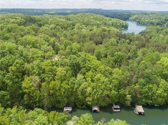6324 Chesla Dr, Gainesville, GA 30506 - bird's eye view of a large body of water and a heavily wooded area