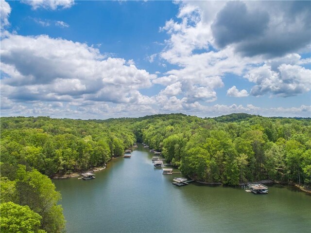 6324 Chesla Dr, Gainesville, GA 30506 - bird's eye view of a heavily wooded area and a large body of water