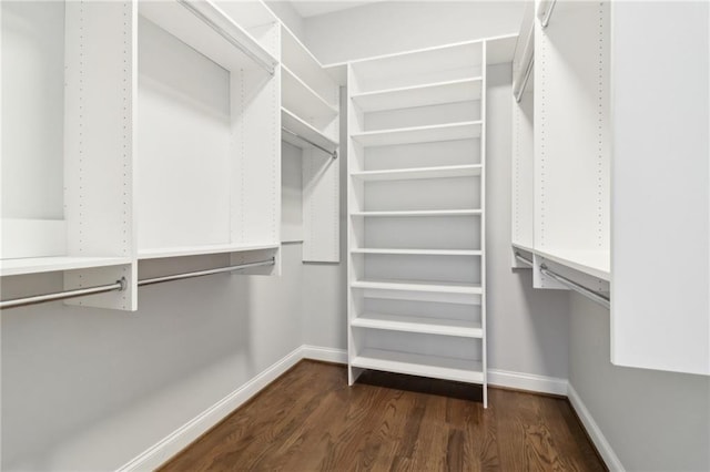 walk in closet with dark wood-style floors