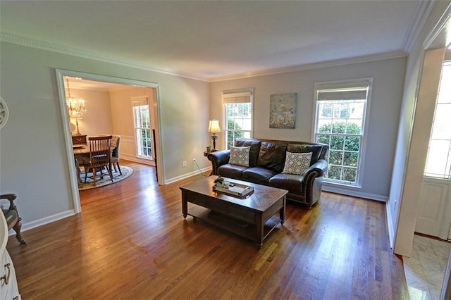 living room featuring an inviting chandelier, ornamental molding, and dark wood-type flooring