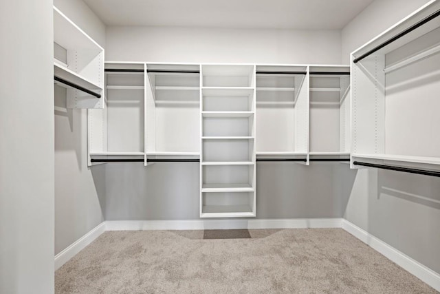 walk in closet with carpet