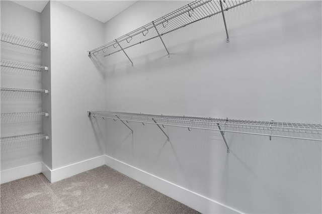 spacious closet with carpet flooring