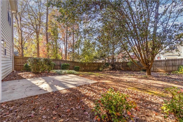 view of yard with a patio area