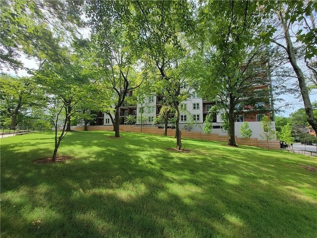 525 Parkway Dr NE Unit 306, Atlanta, GA 30308 - view of yard